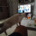 Gatti che bevono birra