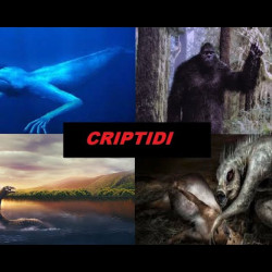 Tutti i meme su Criptidi - Facciabuco.com