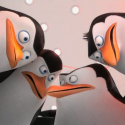 Tutti I Meme Su Pinguini Madagascar Facciabuco Com