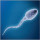 Spermatozoo Spermatozoo