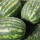 Cocomeri