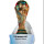 FIFA World Cup