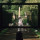 Peter Greenaway