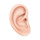 Ear Humor