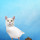 Animali fantastici