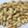 Pistacchio Pistacchio