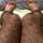 GAMBE PELOSE