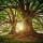 Alberi Alberi