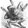 Creature Mitologiche