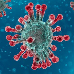 Tutti I Meme Sul Coronavirus Facciabuco Com